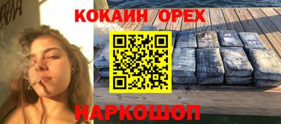 дмт Гатчина