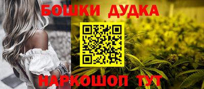 дмт Гатчина