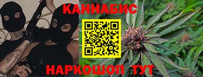 дмт Гатчина