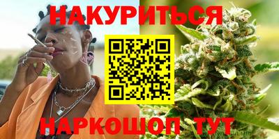 спайс Гай